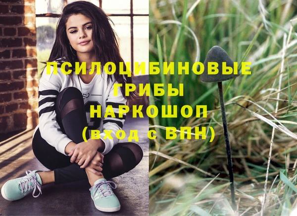 трава Михайловка