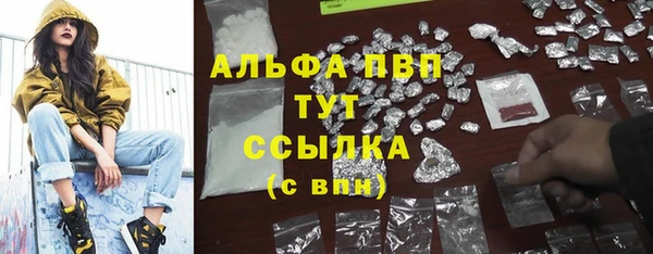 ECSTASY Михайлов